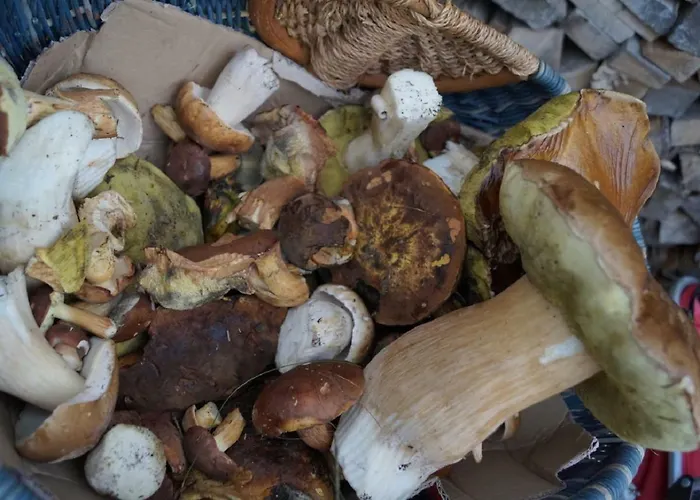 Guest house Sachsenstuebel